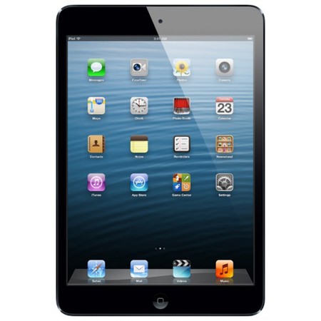 Apple iPad mini 64Gb Wi-Fi черный - Ишим