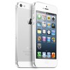 Apple iPhone 5 64Gb white - Ишим